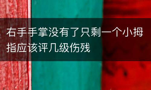 右手手掌没有了只剩一个小拇指应该评几级伤残