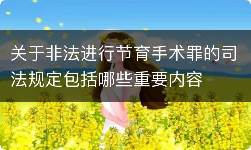 关于非法进行节育手术罪的司法规定包括哪些重要内容