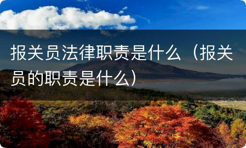 报关员法律职责是什么（报关员的职责是什么）