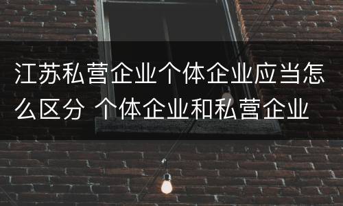 江苏私营企业个体企业应当怎么区分 个体企业和私营企业