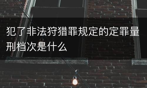 犯了非法狩猎罪规定的定罪量刑档次是什么