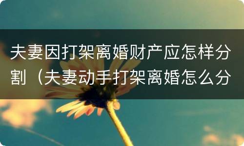 夫妻因打架离婚财产应怎样分割（夫妻动手打架离婚怎么分财产?）