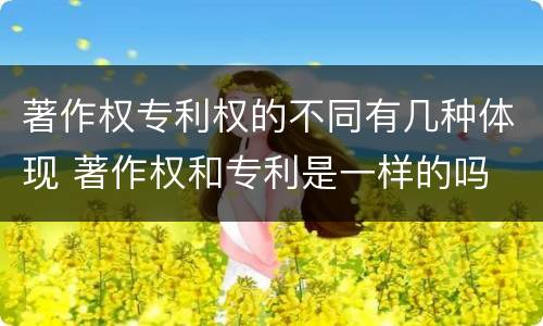 著作权专利权的不同有几种体现 著作权和专利是一样的吗