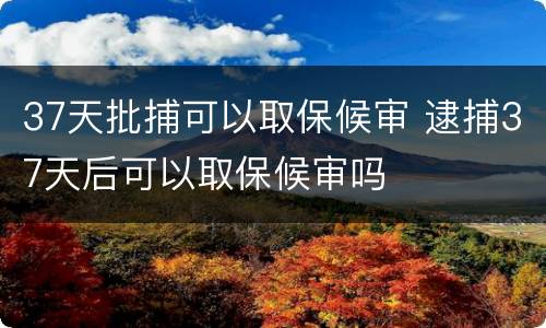 37天批捕可以取保候审 逮捕37天后可以取保候审吗