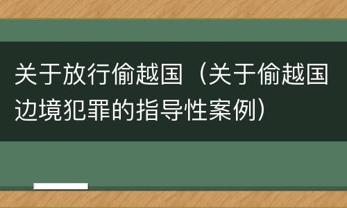 关于放行偷越国（关于偷越国边境犯罪的指导性案例）