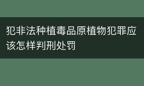 犯非法种植毒品原植物犯罪应该怎样判刑处罚
