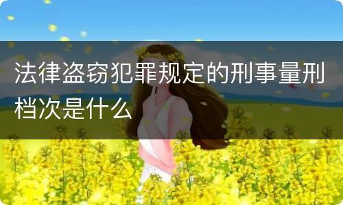 法律盗窃犯罪规定的刑事量刑档次是什么
