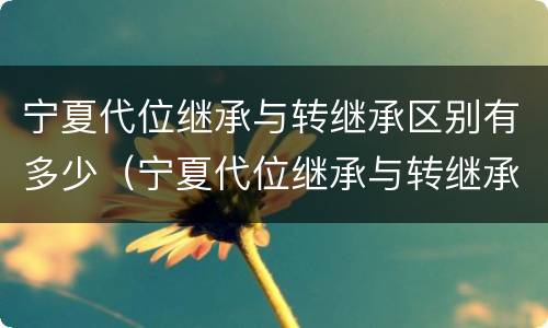 宁夏代位继承与转继承区别有多少（宁夏代位继承与转继承区别有多少个）