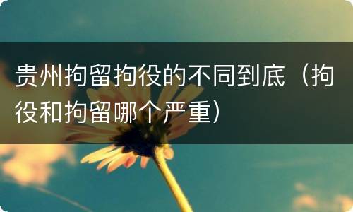 贵州拘留拘役的不同到底（拘役和拘留哪个严重）