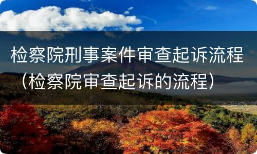 检察院刑事案件审查起诉流程（检察院审查起诉的流程）