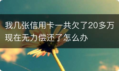 我几张信用卡一共欠了20多万现在无力偿还了怎么办