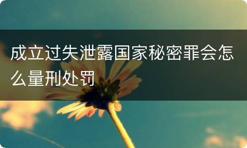 成立过失泄露国家秘密罪会怎么量刑处罚