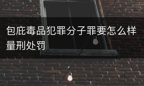 包庇毒品犯罪分子罪要怎么样量刑处罚