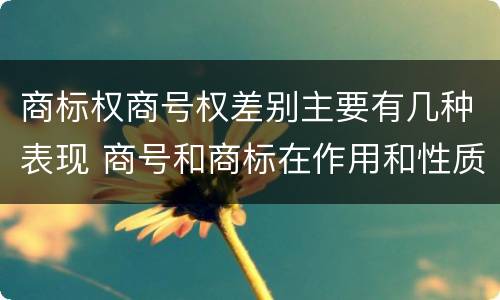 商标权商号权差别主要有几种表现 商号和商标在作用和性质上的区别