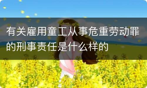 有关雇用童工从事危重劳动罪的刑事责任是什么样的