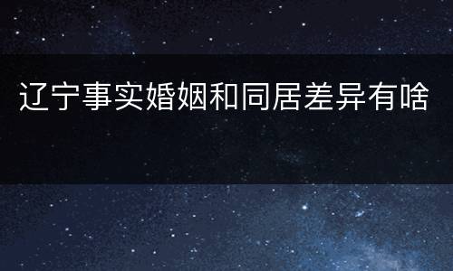 辽宁事实婚姻和同居差异有啥