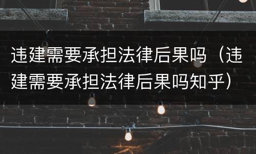 违建需要承担法律后果吗（违建需要承担法律后果吗知乎）