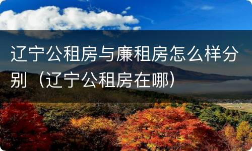辽宁公租房与廉租房怎么样分别（辽宁公租房在哪）