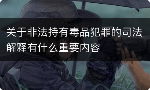 关于非法持有毒品犯罪的司法解释有什么重要内容