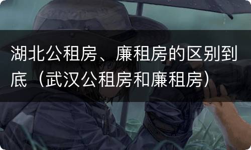 湖北公租房、廉租房的区别到底（武汉公租房和廉租房）