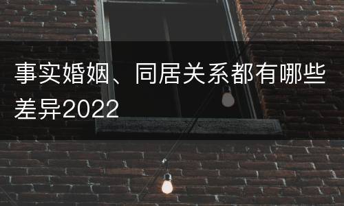 事实婚姻、同居关系都有哪些差异2022