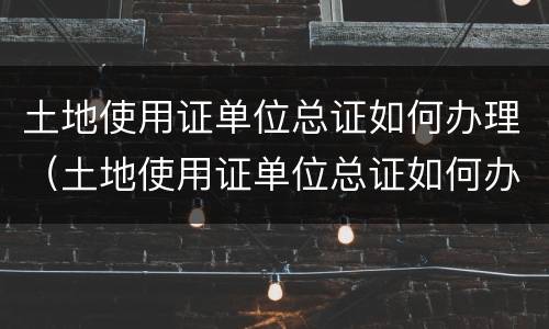 土地使用证单位总证如何办理（土地使用证单位总证如何办理过户）