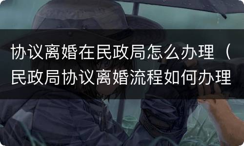 协议离婚在民政局怎么办理（民政局协议离婚流程如何办理手续）