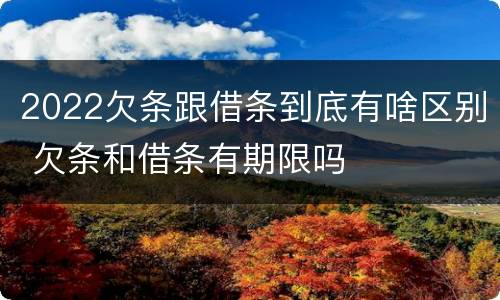2022欠条跟借条到底有啥区别 欠条和借条有期限吗