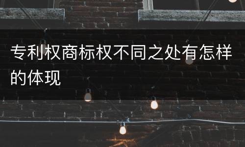 专利权商标权不同之处有怎样的体现