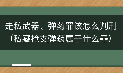 走私武器、弹药罪该怎么判刑（私藏枪支弹药属于什么罪）