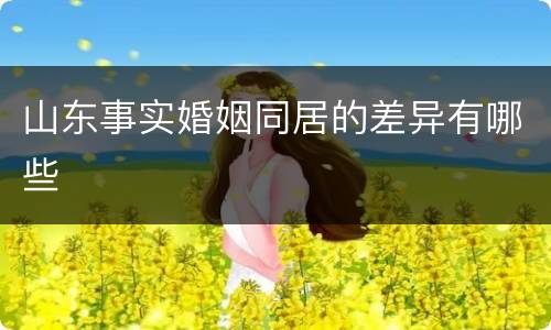 山东事实婚姻同居的差异有哪些