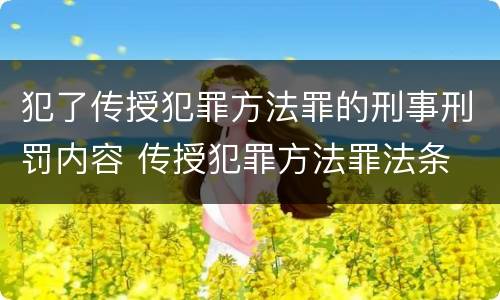 犯了传授犯罪方法罪的刑事刑罚内容 传授犯罪方法罪法条