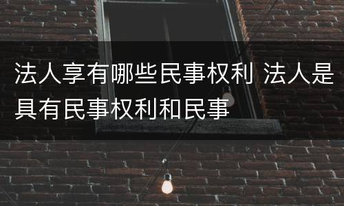 法人享有哪些民事权利 法人是具有民事权利和民事