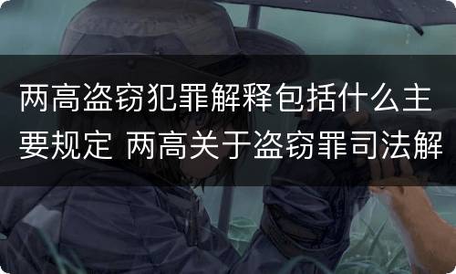 两高盗窃犯罪解释包括什么主要规定 两高关于盗窃罪司法解释的理解与适用
