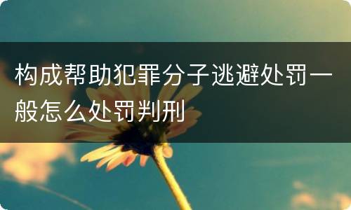 构成帮助犯罪分子逃避处罚一般怎么处罚判刑