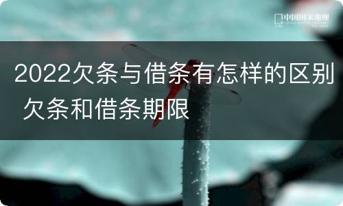 2022欠条与借条有怎样的区别 欠条和借条期限