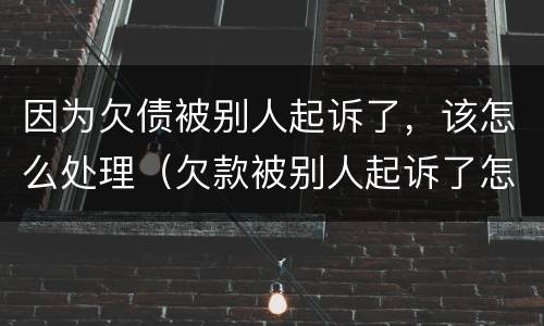 因为欠债被别人起诉了，该怎么处理（欠款被别人起诉了怎么办）