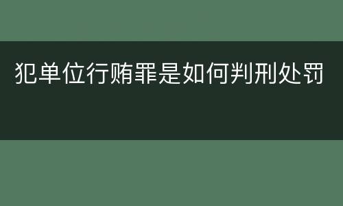 犯单位行贿罪是如何判刑处罚