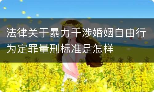 法律关于暴力干涉婚姻自由行为定罪量刑标准是怎样