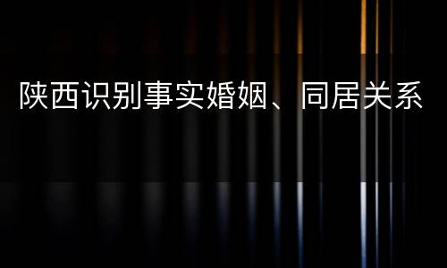 陕西识别事实婚姻、同居关系