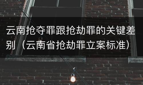 云南抢夺罪跟抢劫罪的关键差别（云南省抢劫罪立案标准）