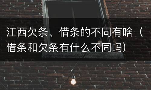 江西欠条、借条的不同有啥（借条和欠条有什么不同吗）