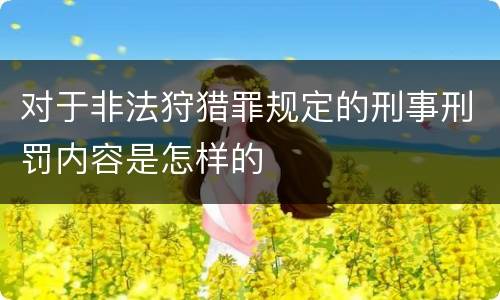 对于非法狩猎罪规定的刑事刑罚内容是怎样的