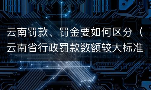 云南罚款、罚金要如何区分（云南省行政罚款数额较大标准）