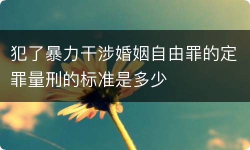 犯了暴力干涉婚姻自由罪的定罪量刑的标准是多少