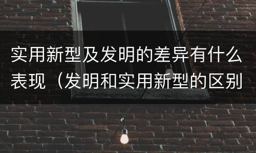 实用新型及发明的差异有什么表现（发明和实用新型的区别和联系有什么）