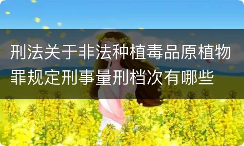 刑法关于非法种植毒品原植物罪规定刑事量刑档次有哪些