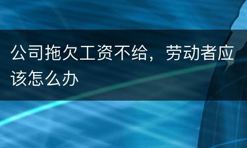 公司拖欠工资不给，劳动者应该怎么办