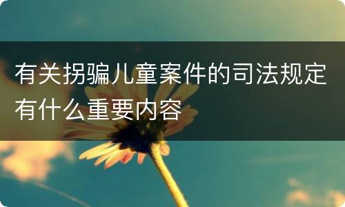 有关拐骗儿童案件的司法规定有什么重要内容