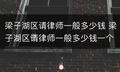 梁子湖区请律师一般多少钱 梁子湖区请律师一般多少钱一个月
